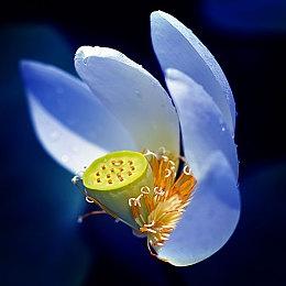 《暗影火炬城》强势登陆国行平台！为更多玩家带来柴油朋克的精彩冒险